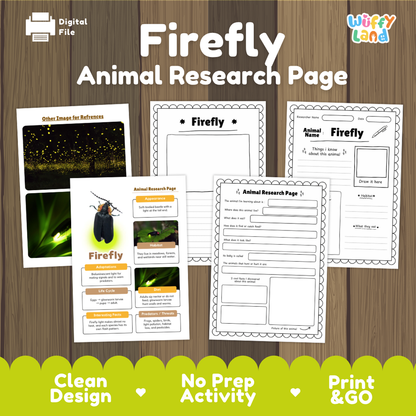 Firefly Animal Research Page Worksheets