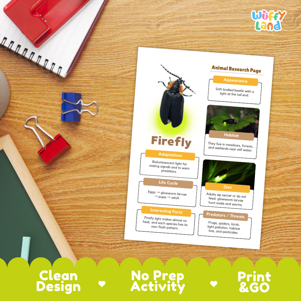 Firefly Animal Research Page Worksheets