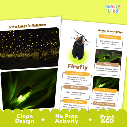Two printed activity sheets for a firefly animal research project, shown on a bright lime-green background. One sheet shows a night scene with glowing fireflies, and the other has labeled sections for appearance, habitat, diet, interesting facts, and a firefly photo.