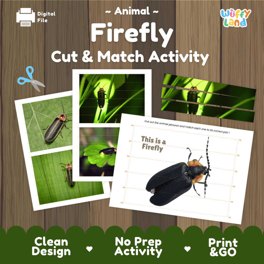 Firefly Cut and Match Activity Printables Worksheets