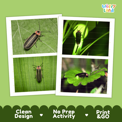 Firefly Cut and Match Activity Printables Worksheets