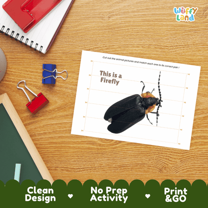 Firefly Cut and Match Activity Printables Worksheets
