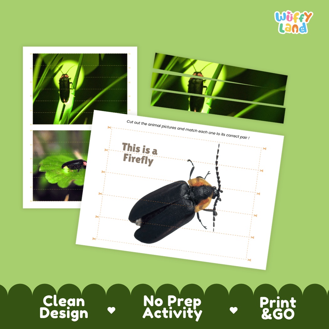 Firefly Cut and Match Activity Printables Worksheets
