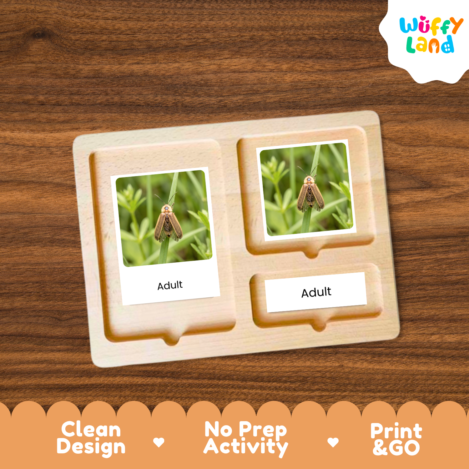 A wooden activity board with two photo slots displaying insect images labeled 'Adult,' shown on a wood-grain background. The brand logo 'Wuffy Land' appears in the top right, and marketing text 'Clean Design,' 'No Prep Activity,' and 'Print & GO' appears along the bottom.