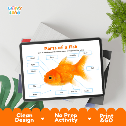 Educational cut and paste fish anatomy worksheet with printable word cutout tiles for gills, dorsal fin, scales, and tail