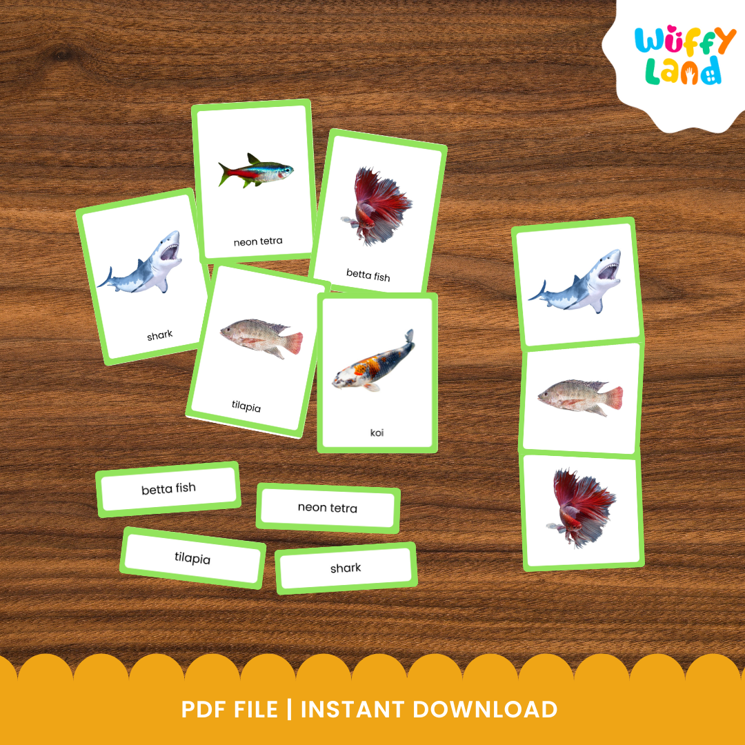 Printable fish classification activity for kids with realistic aquatic animal cards for science and zoology learning
