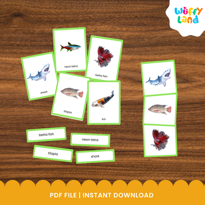 Printable fish classification activity for kids with realistic aquatic animal cards for science and zoology learning