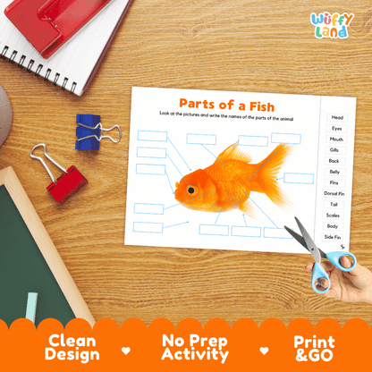 Printable animal body parts worksheet showing a realistic goldfish with blank labeling boxes and a vocabulary word bank for writing practice