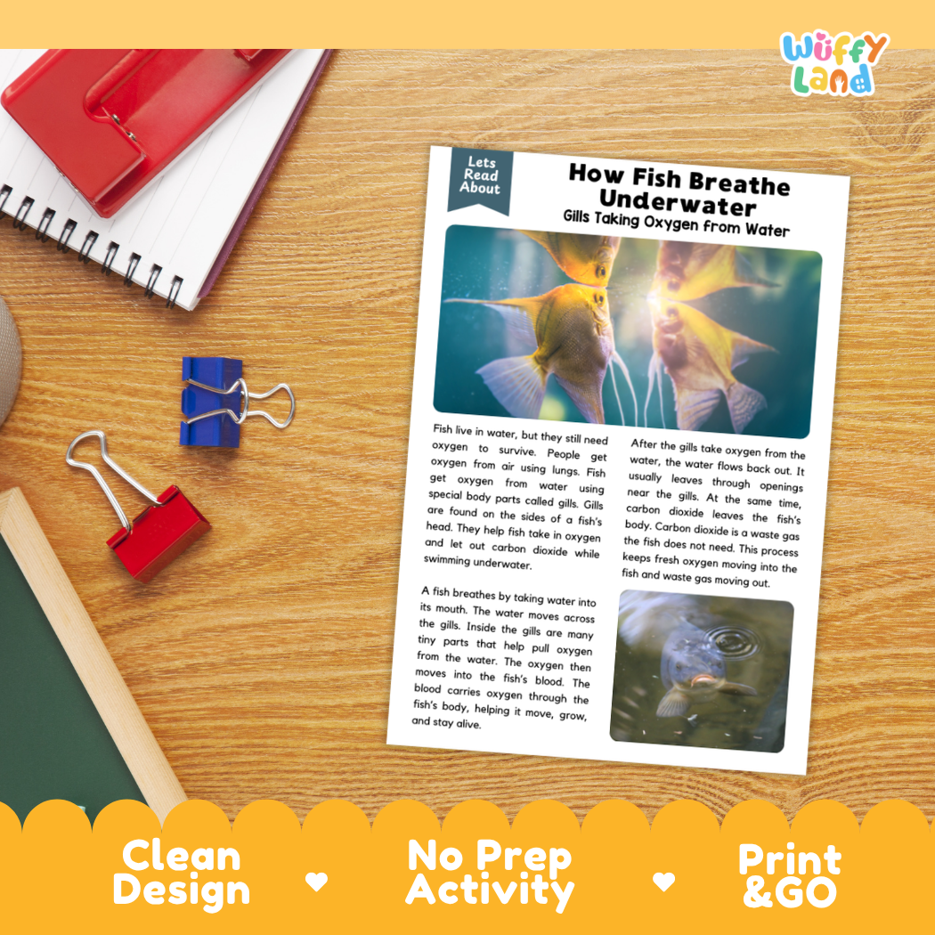 Printable student worksheet with short-answer reading comprehension questions covering fish respiration and aquatic science