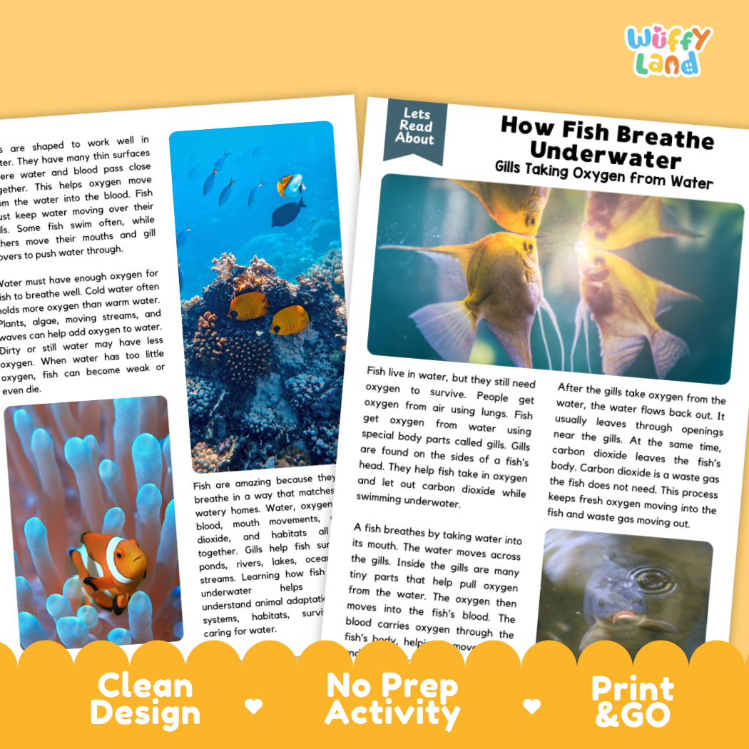 Complete teacher answer key worksheet providing detailed model responses for fish breathing comprehension questions