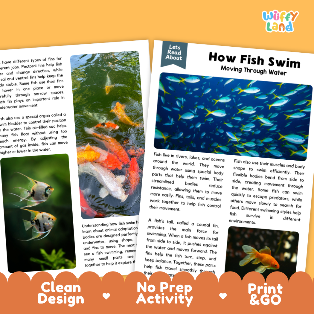 Complete teacher answer key worksheet providing detailed model responses for fish movement comprehension questions