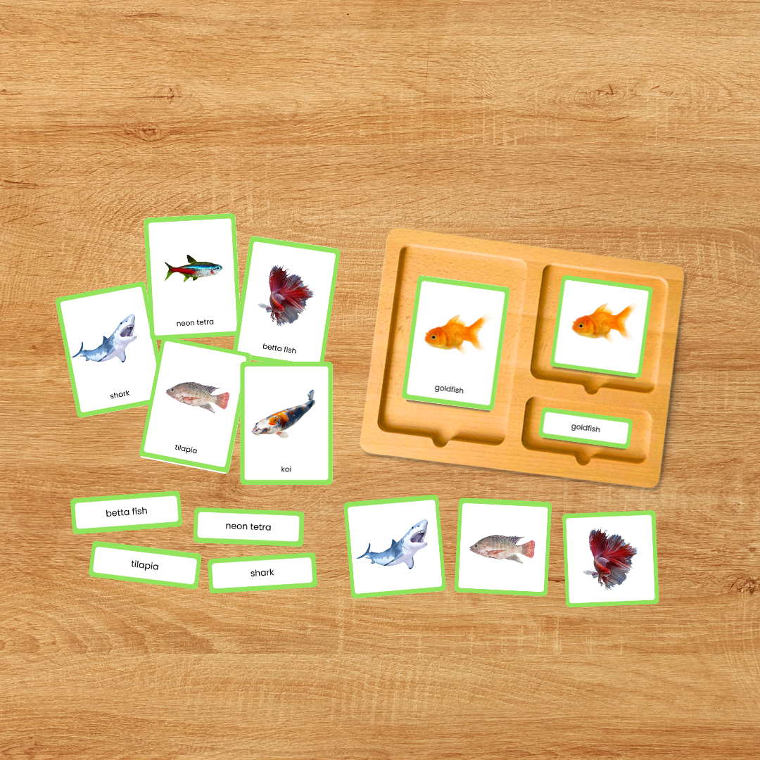Fish vocabulary picture cards with realistic images and matching word labels for preschool and elementary learners