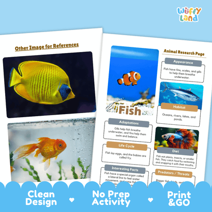 Fish Animal Research Page Worksheets
