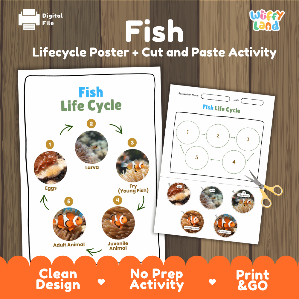 Fish Life Cycle Poster and Cut and Paste Activity Worksheets