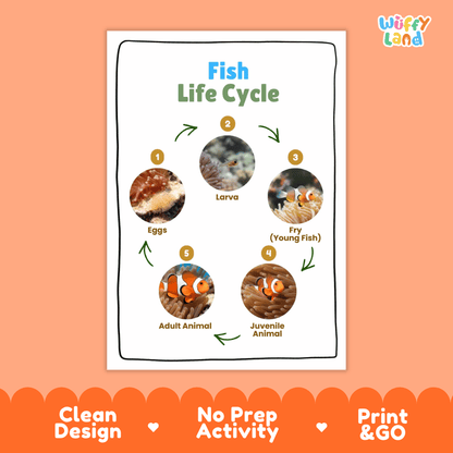 Fish Life Cycle Poster and Cut and Paste Activity Worksheets