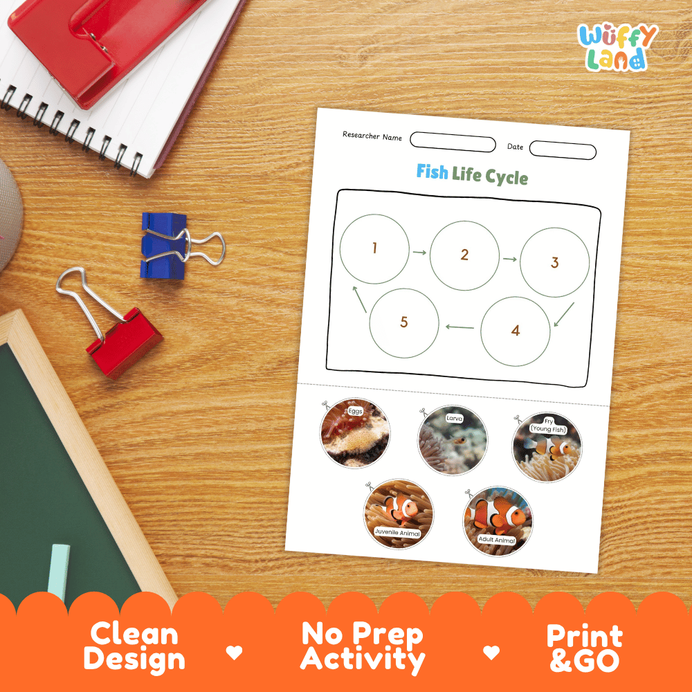 Fish Life Cycle Poster and Cut and Paste Activity Worksheets