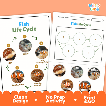 Fish Life Cycle Poster and Cut and Paste Activity Worksheets