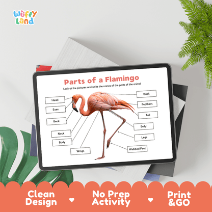Educational cut and paste flamingo anatomy worksheet with printable word cutout tiles for beak, wings, webbed feet, and feathers