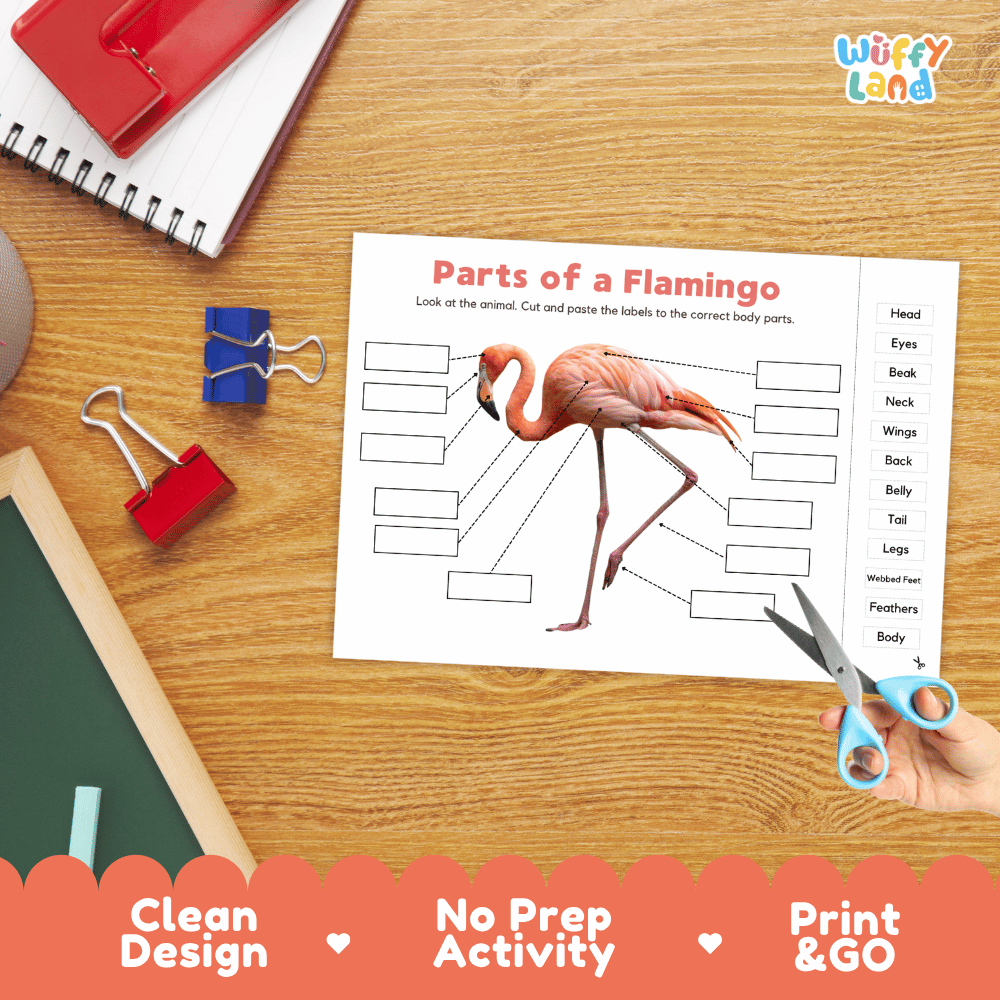 Printable bird anatomy worksheet showing a realistic pink flamingo with blank labeling boxes and a vocabulary word bank for writing practice