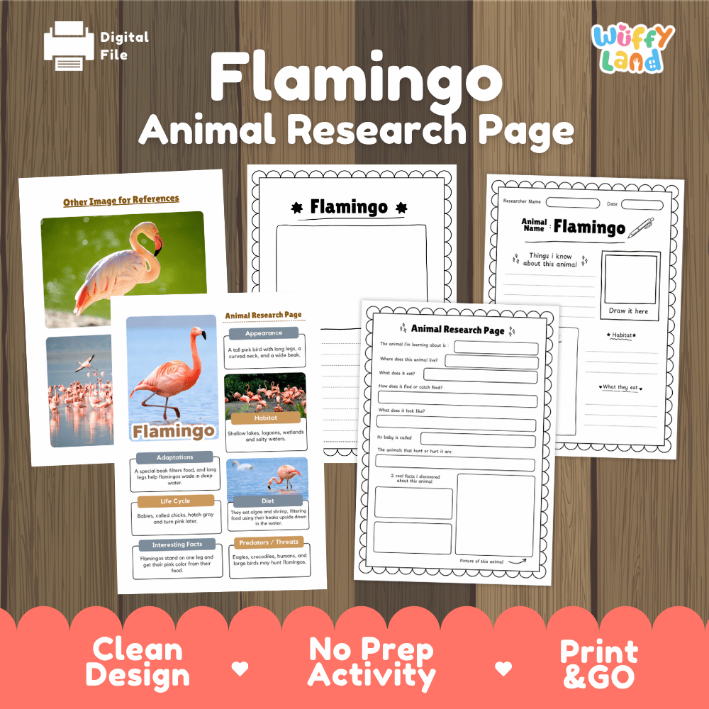 Flamingo Animal Research Page Worksheets