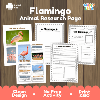 Flamingo Animal Research Page Worksheets