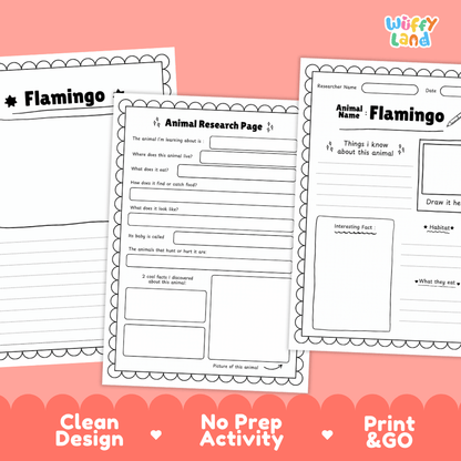 Flamingo Animal Research Page Worksheets