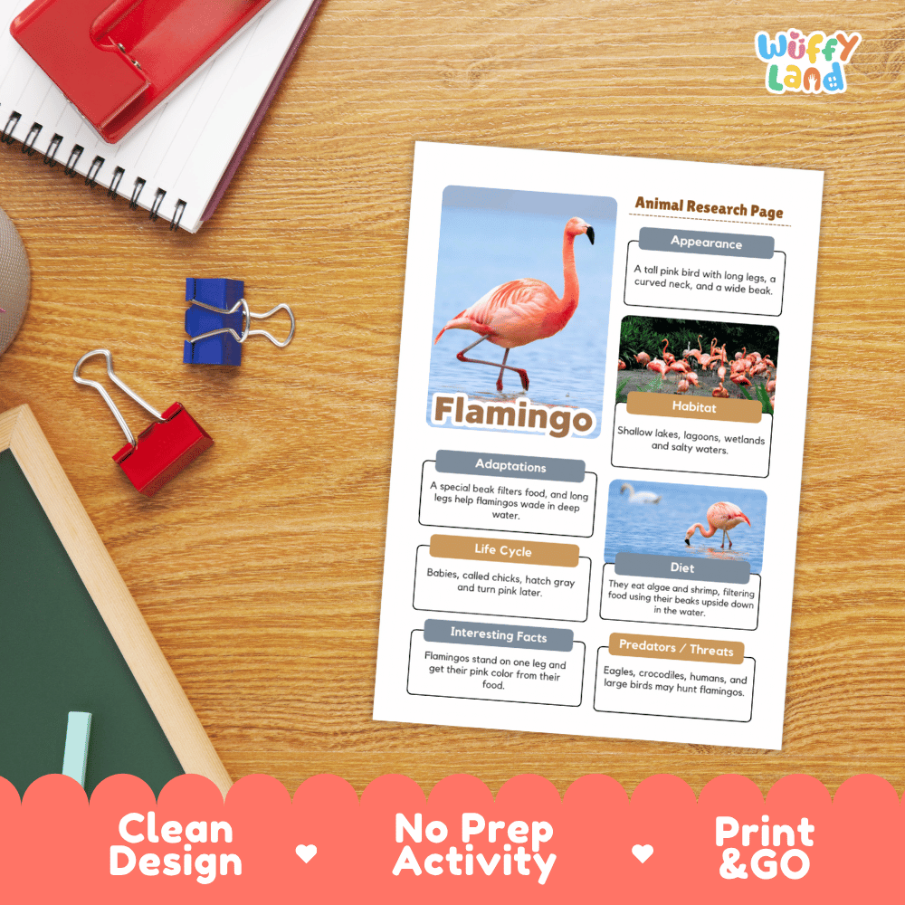 Flamingo Animal Research Page Worksheets