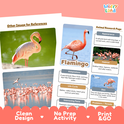 Flamingo Animal Research Page Worksheets