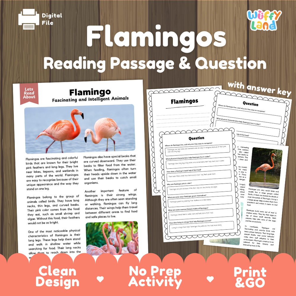 Digital reading activity product titled 'Flamingos Reading Passage & Question' on a wood background, showing sample pages with a flamingo passage, worksheet questions, and an answer key. Brand logo 'Wiffly Land' appears in the top right.