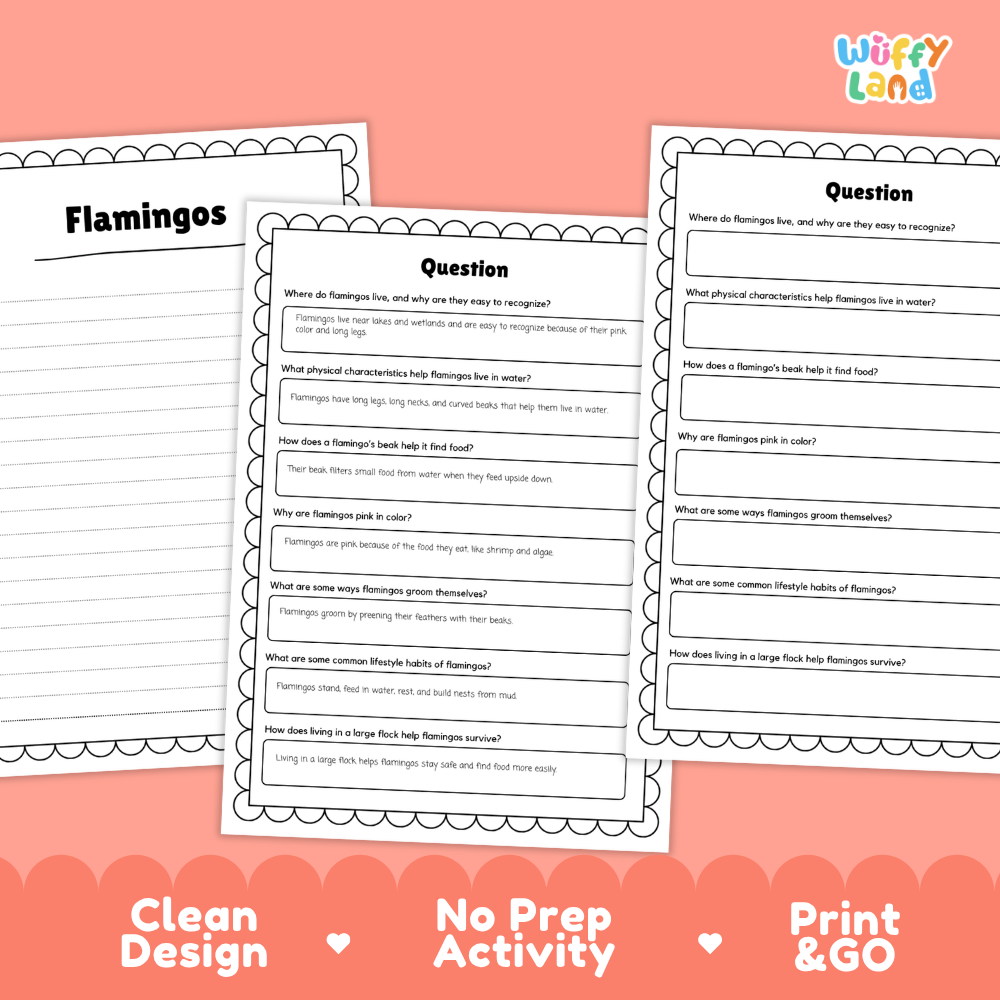 Three printable educational activity sheets about flamingos arranged on a coral-pink background, with the text 'Clean Design', 'No Prep Activity', and 'Print & GO' at the bottom. The sheets have a decorative white border and black headings.