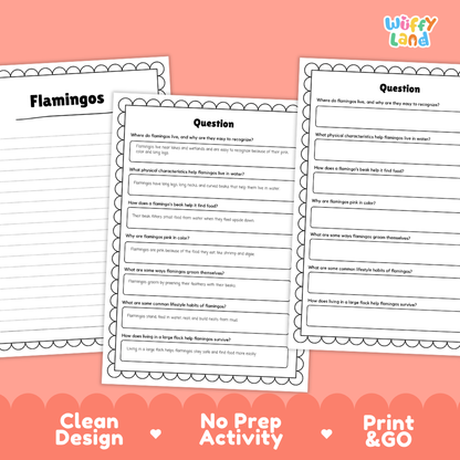 Three printable educational activity sheets about flamingos arranged on a coral-pink background, with the text 'Clean Design', 'No Prep Activity', and 'Print & GO' at the bottom. The sheets have a decorative white border and black headings.
