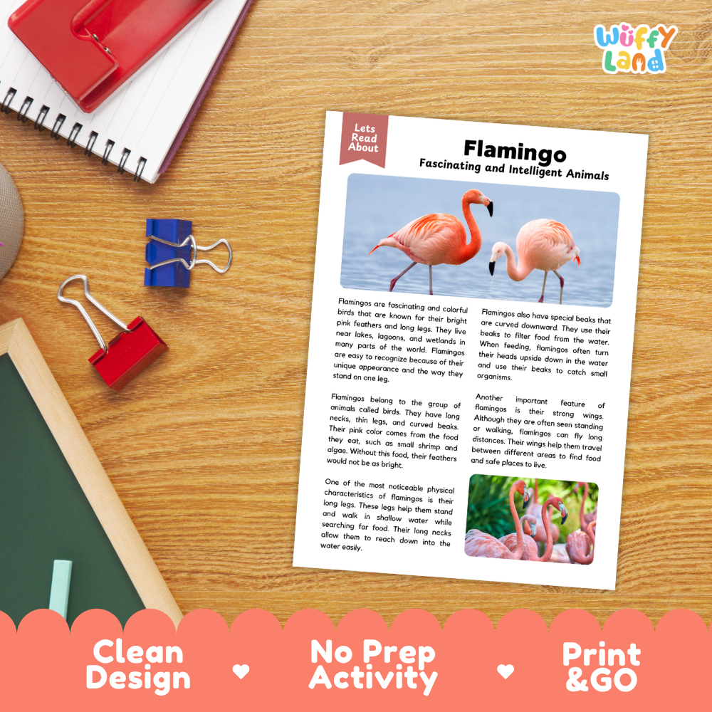 A children's educational reading activity sheet titled 'Flamingo Fascinating and Intelligent Animals' displayed on a wooden desk. The sheet features a colorful layout with text, a picture of pink flamingos, and a small illustration of a flamingo nest.