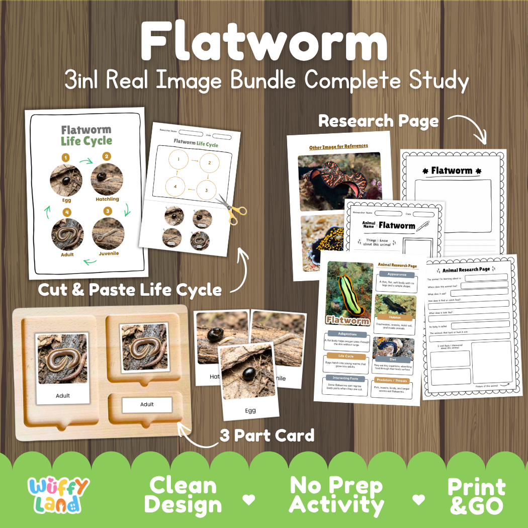 Flatworm 3-in-1 real image bundle complete study cover showing cut and paste life cycle, 3 part cards, and research pages