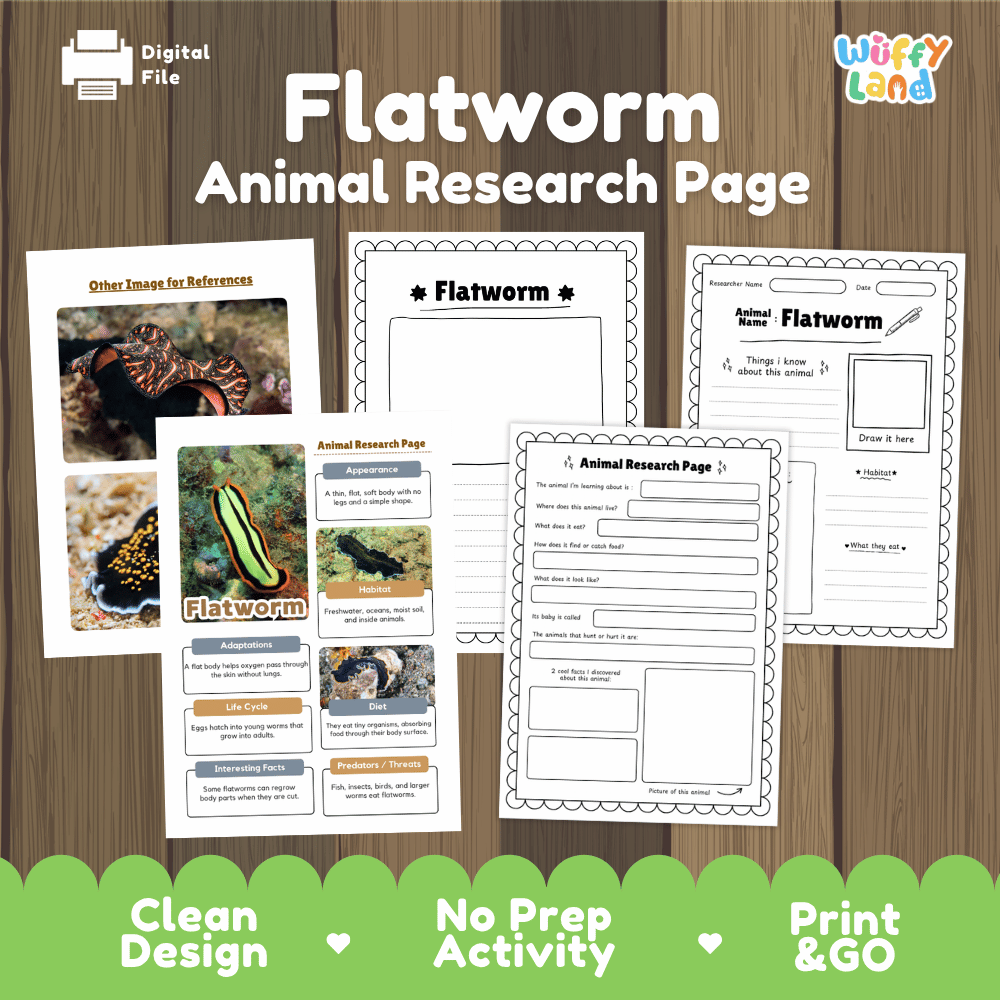 Flatworm Animal Research Page Worksheets