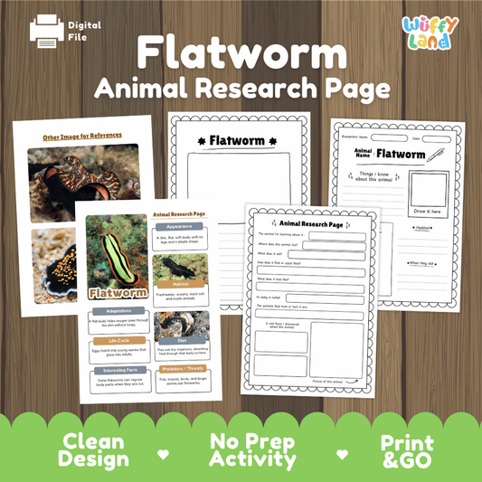 Clean design no prep print and go flatworm invertebrate animal life cycle study printable PDF pack for elementary science