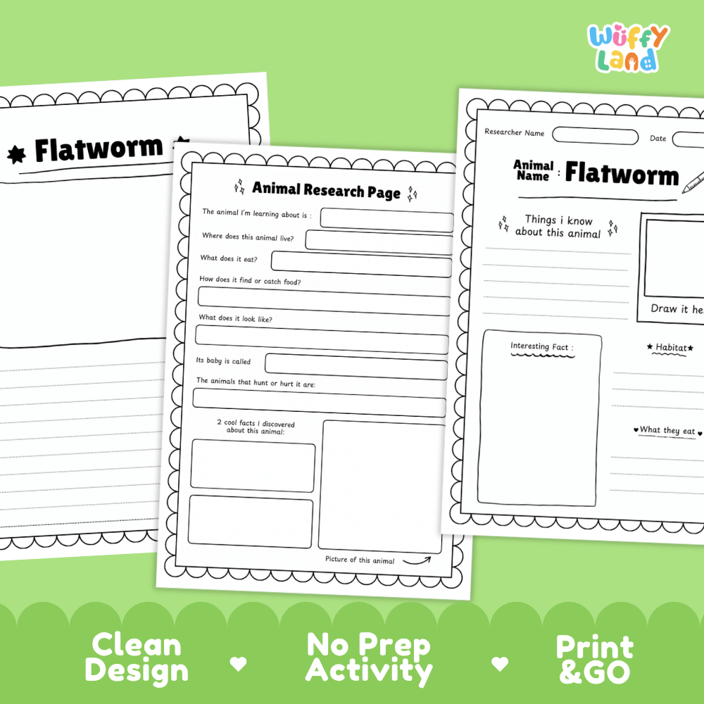 Flatworm Animal Research Page Worksheets