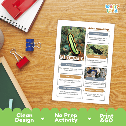 Flatworm Animal Research Page Worksheets