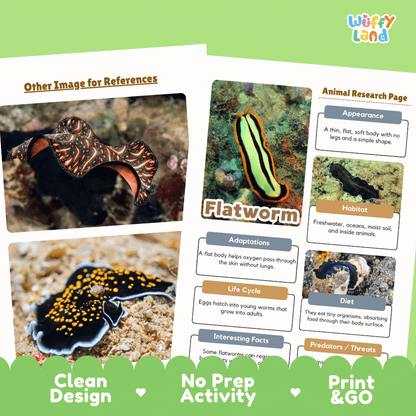 Flatworm Animal Research Page Worksheets