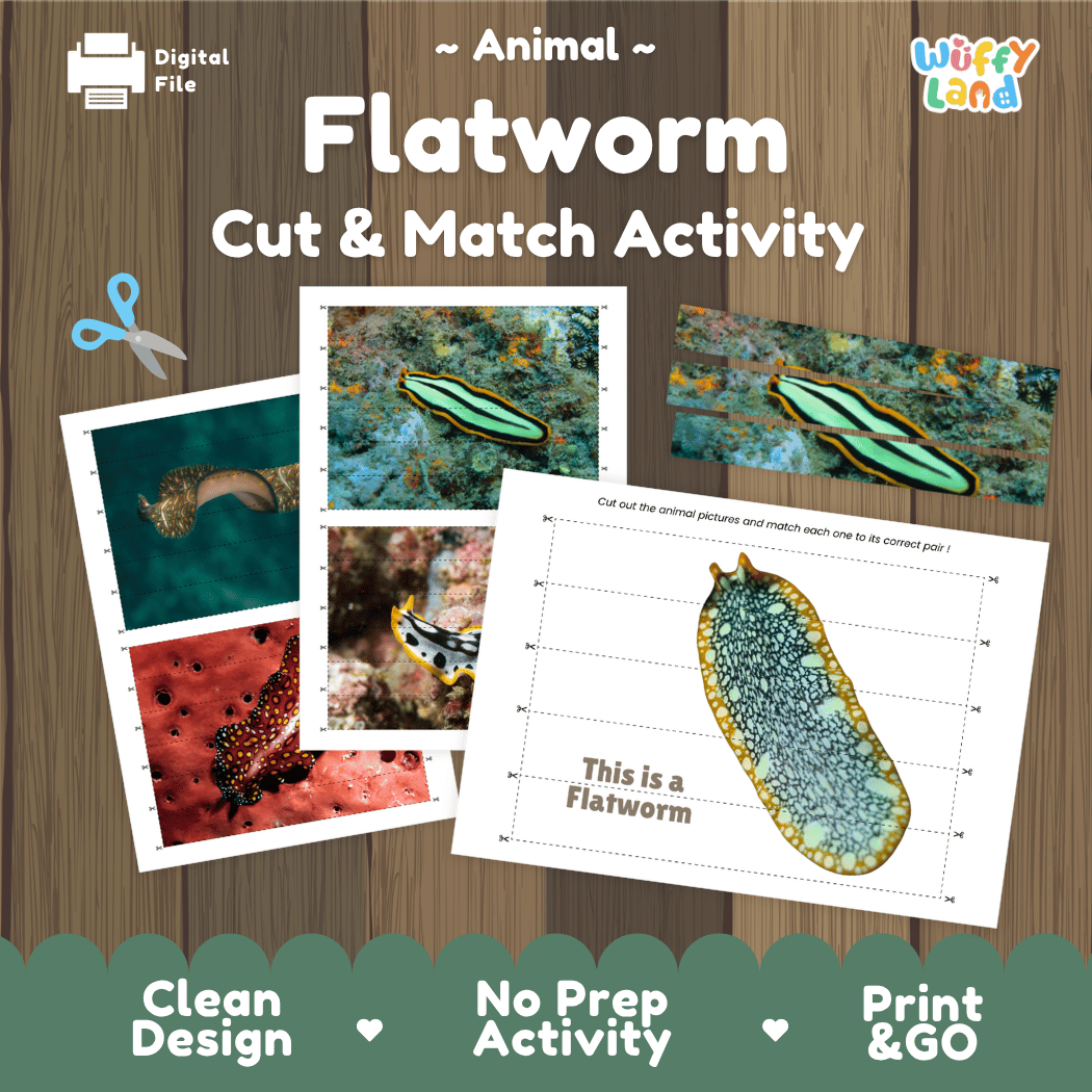 Flatworm Cut and Match Activity Printables Worksheets