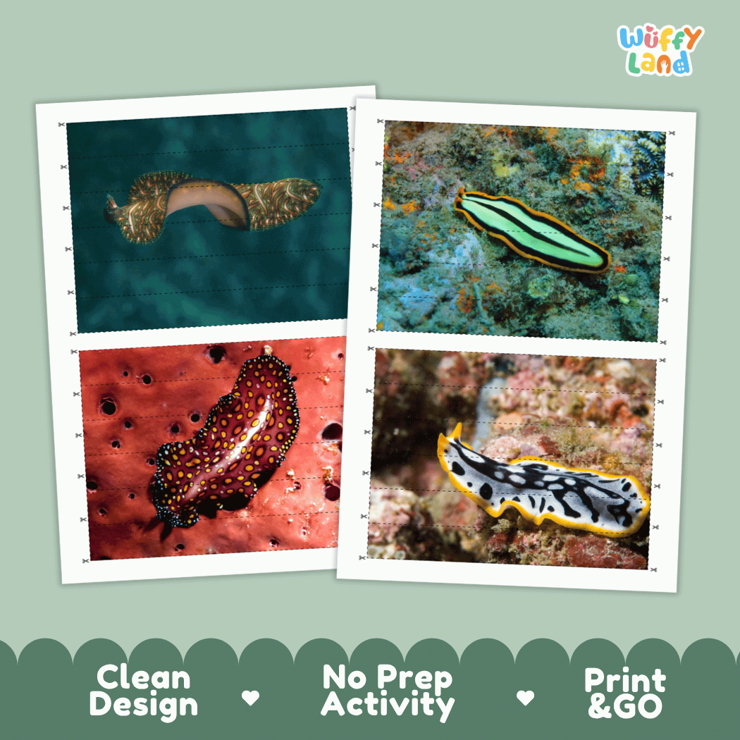 Flatworm Cut and Match Activity Printables Worksheets