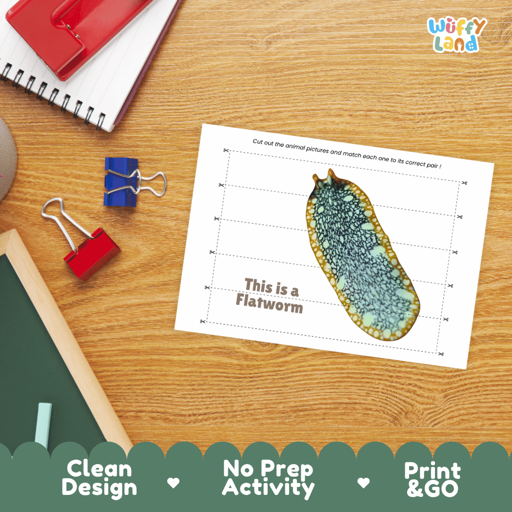 Flatworm Cut and Match Activity Printables Worksheets