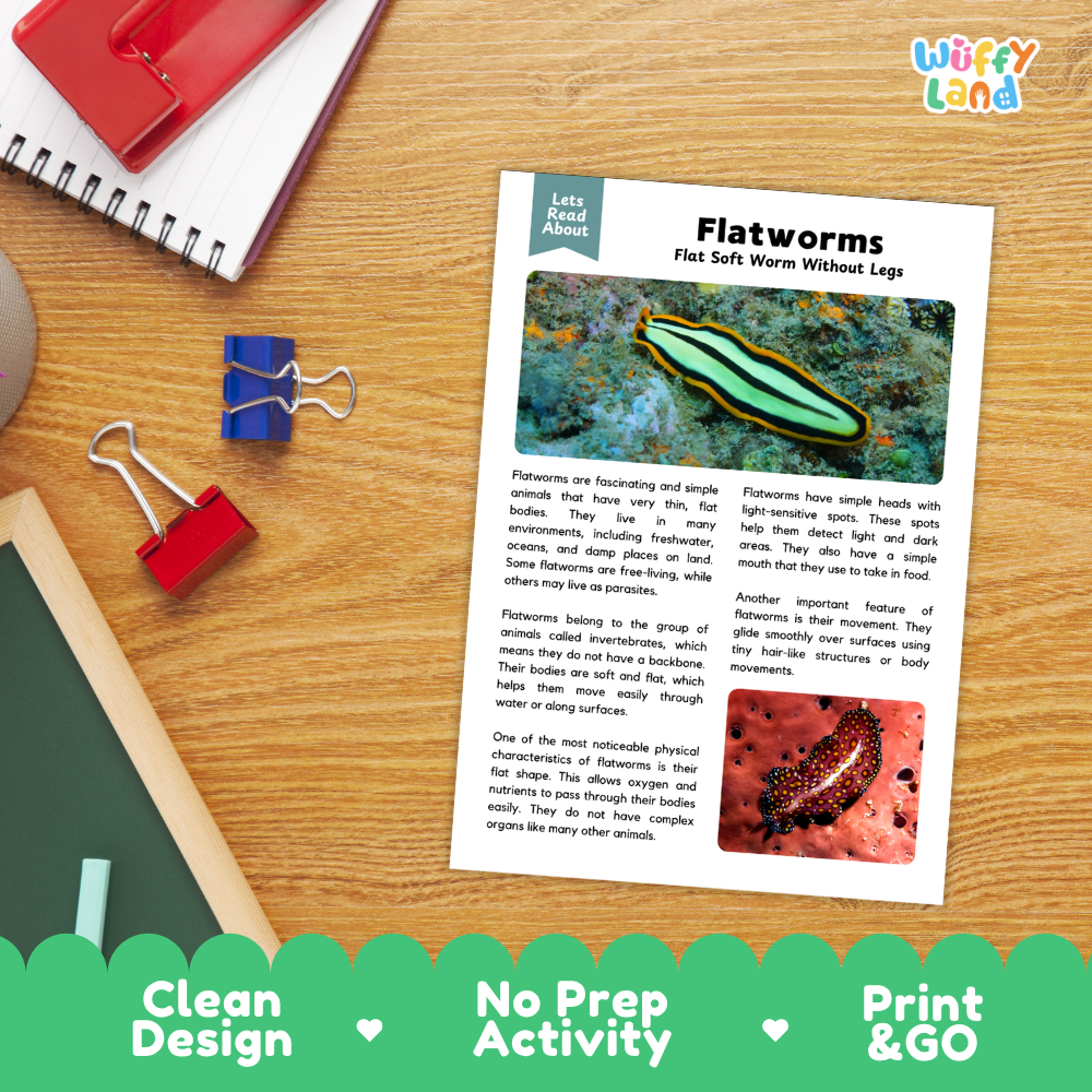 An educational activity sheet about flatworms laid on a wooden desk, surrounded by school supplies like a spiral notebook, red and blue binder clips, and a pencil. The sheet features a green and black striped flatworm illustration, descriptive text, and a small red macro photo.
