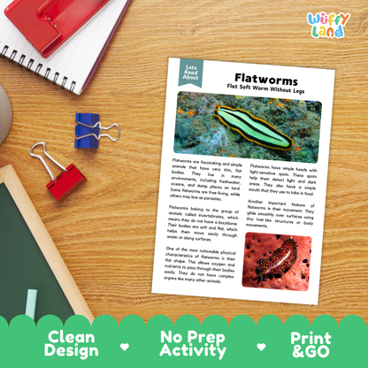 An educational activity sheet about flatworms laid on a wooden desk, surrounded by school supplies like a spiral notebook, red and blue binder clips, and a pencil. The sheet features a green and black striped flatworm illustration, descriptive text, and a small red macro photo.