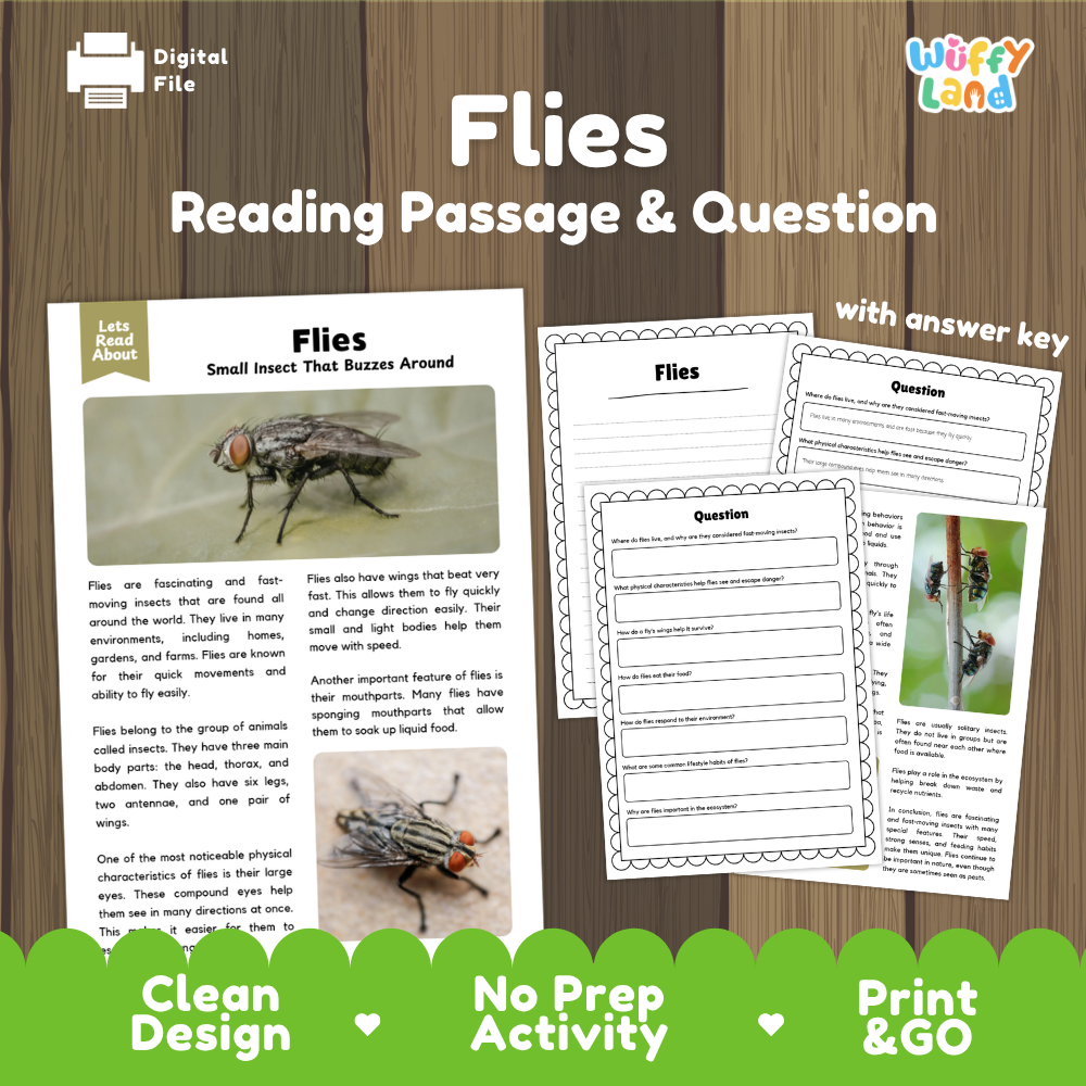 Digital reading activity sheet set about flies, shown on a wood background. The image includes a cover page with a fly illustration, two worksheet pages with writing and reading questions, and a green banner at the bottom reading 'Clean Design', 'No Prep Activity', and 'Print & GO'.