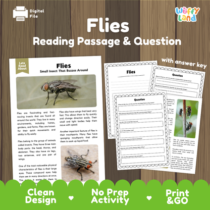 Digital reading activity sheet set about flies, shown on a wood background. The image includes a cover page with a fly illustration, two worksheet pages with writing and reading questions, and a green banner at the bottom reading 'Clean Design', 'No Prep Activity', and 'Print & GO'.