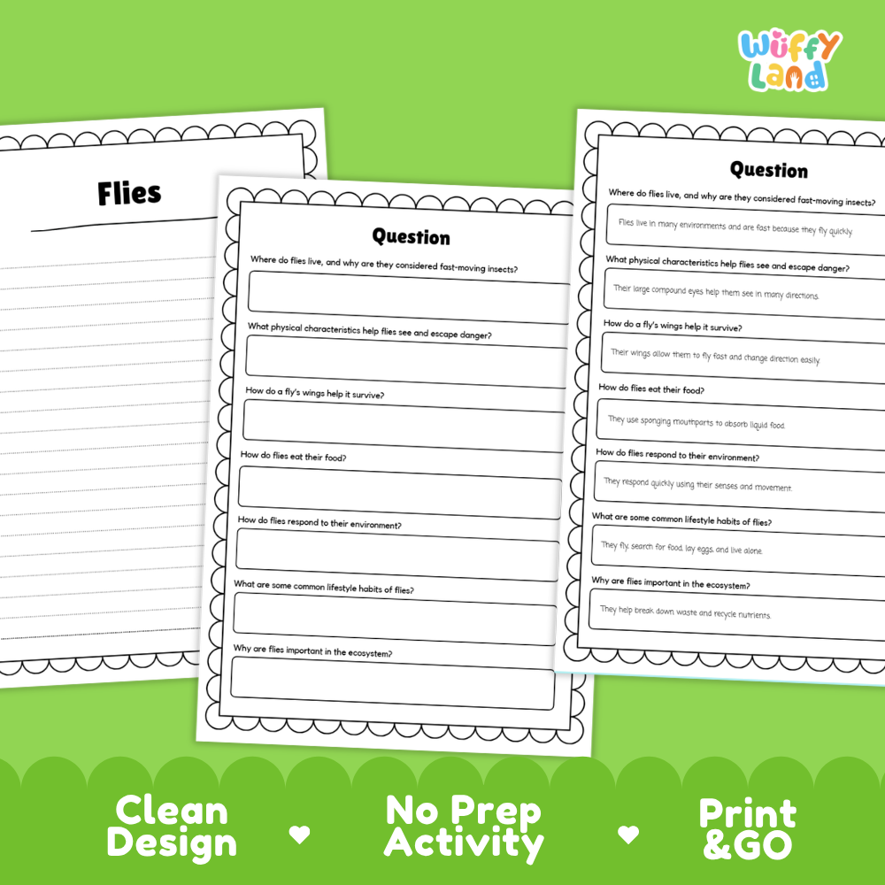 Three printable activity sheets for a 'Flies' science question activity, displayed on a bright green background with 'Clean Design', 'No Prep Activity', and 'Print & GO' text at the bottom. The sheets feature black text, black line art, and white writing areas with scalloped borders.