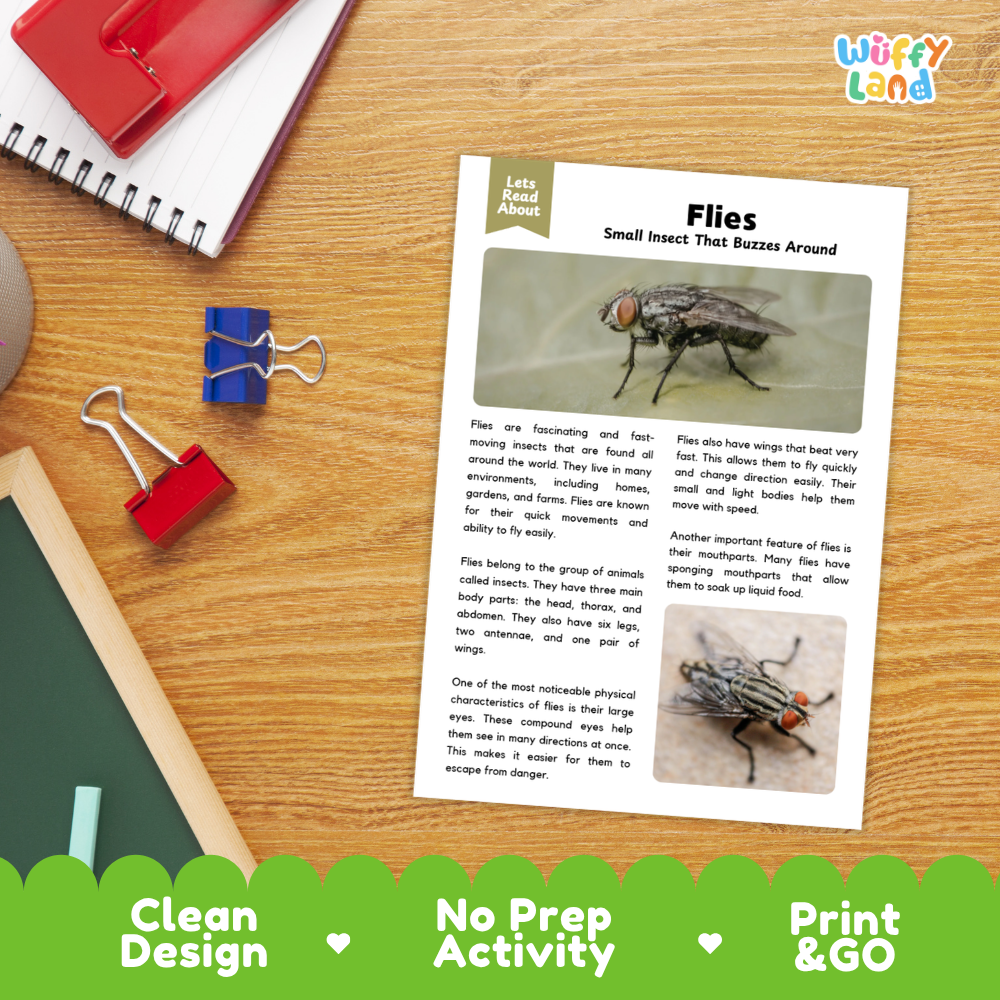 An educational activity sheet titled 'Flies Small Insect That Buzzes Around' laid on a wooden desk, surrounded by school supplies like a spiral notebook, red binder clips, and a red notebook. The sheet features text and photos of a fly.