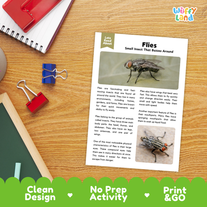 An educational activity sheet titled 'Flies Small Insect That Buzzes Around' laid on a wooden desk, surrounded by school supplies like a spiral notebook, red binder clips, and a red notebook. The sheet features text and photos of a fly.