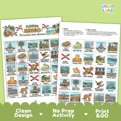 Florida Geography BINGO Game The Sunshine State Activity Printable Boards