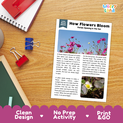 Printable student worksheet with short-answer reading comprehension questions covering flowers and plant science